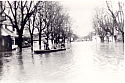 floodedstreet6.jpg