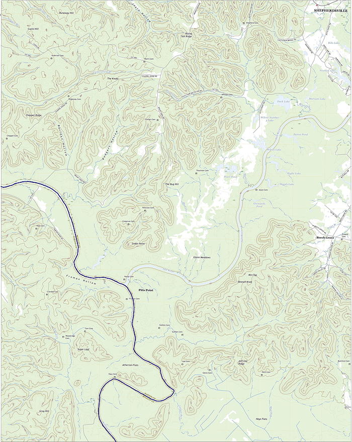 Pitt's Point'
